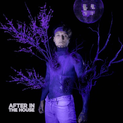 After In the House - Single