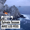 Avec les fées - Sylvain Tesson