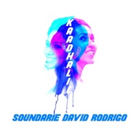 Kaadhalil (feat. Soundarie David Rodrigo) - Single - Megan Dhakshini