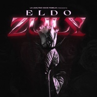 Zuly - Single - Eldo VR