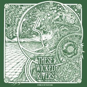 Force of Nature (single)