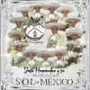 Mariachi Sol de Mexico de Jose Hernandez - El Rey de la Huasteca