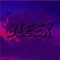 Bleek - Neskwie lyrics