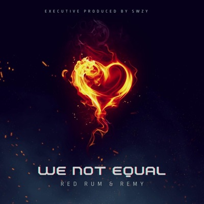 We Not Equal (feat. Red Rum & Remy) - Single
