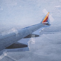 Falling In Love - Single - juno