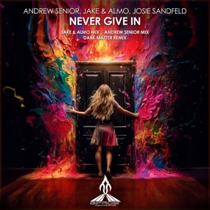 Never Give in - Single