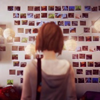 Blatt - Single - shyne2400