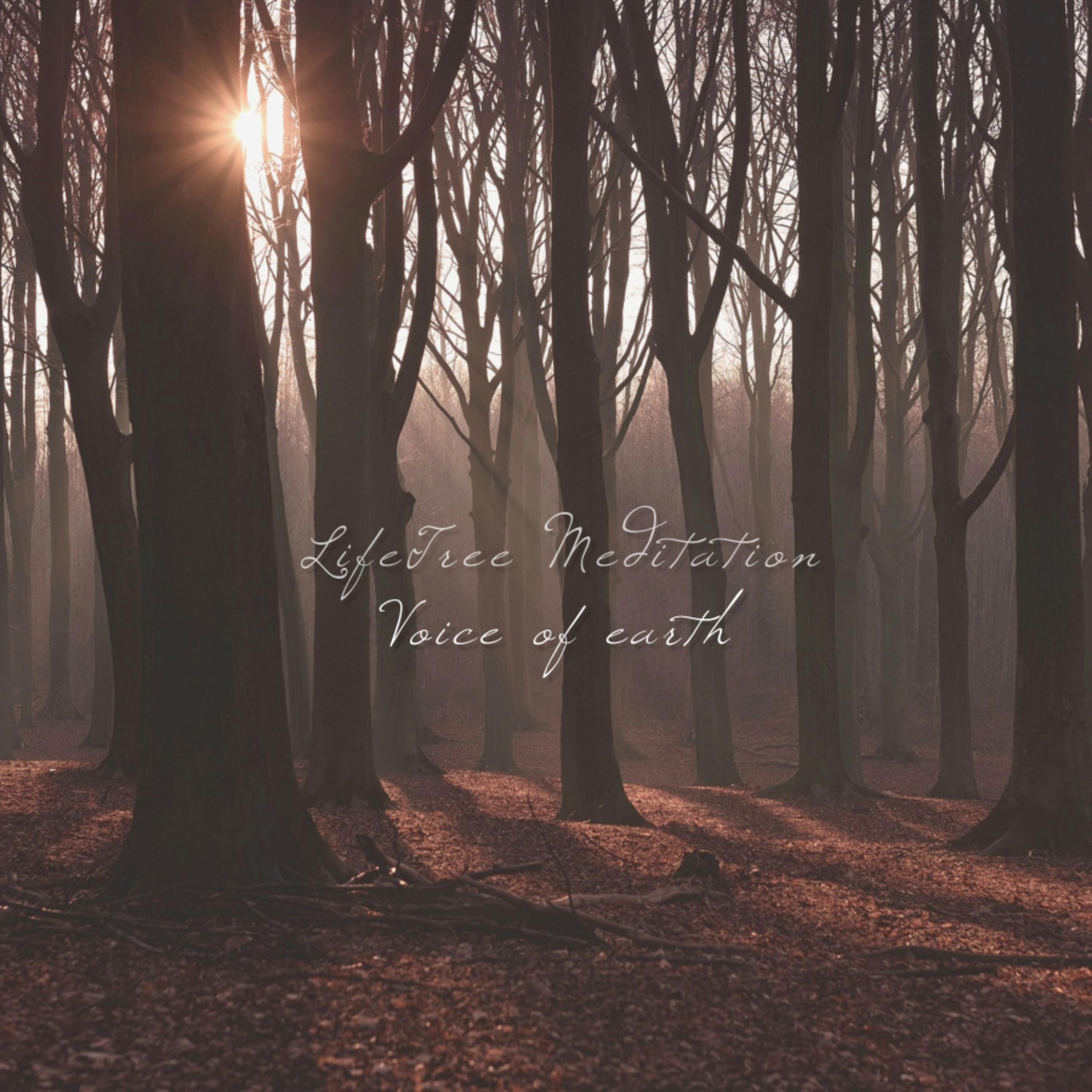 Voice of Earth - Single