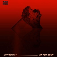 We Rise Again (Theke Mix) - Single - Djy Miizo SA