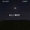 All I Want - Single