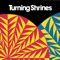 1 / 4 Circle Black (feat. Tamaryn) - Turning Shrines & Jorge Elbrecht lyrics