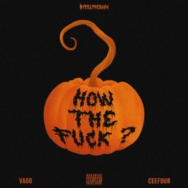 How the f**k (feat. Ceefour) Vago