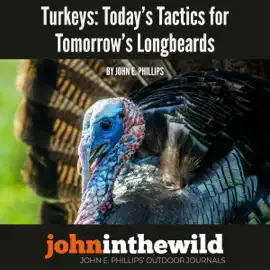Turkeys: Today's Tactics for Tomorrow's Longbeards (Unabridged)