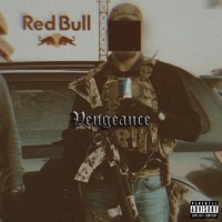 Vengeance - Single - Scxnks