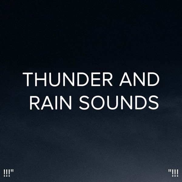 !!!" Thunder and Rain Sounds "!!!