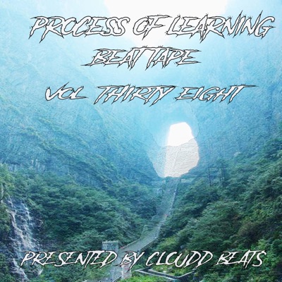 Process of Learning Beat Tape Vol Thirty Eight