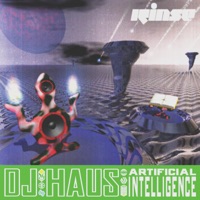Artificial Intelligence - DJ Haus