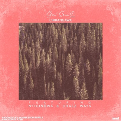 C H I K a N G a W a (feat. Chalz Ways & Nthondwa) - Single