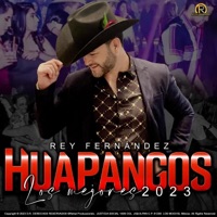 Los Mejores Huapangos para Bailar - Single - rey fernandez