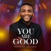 You are Good artwork