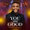 You are Good - Gbemiga lyrics