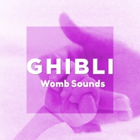 Womb Sounds and Healing Orgel Sleeping Baby vol.4, GHIBLI Music