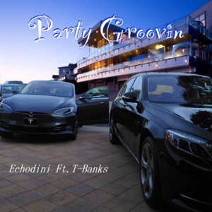 Party Groovin (feat. T BANKS)