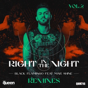 Right in the Night, Vol. 2 (The Remixes) [feat. Mar Shine] - EP