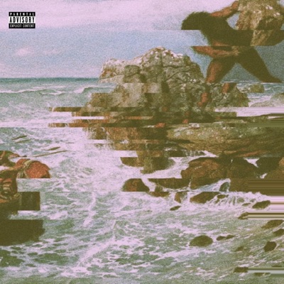 23 Inconsistencies - Single