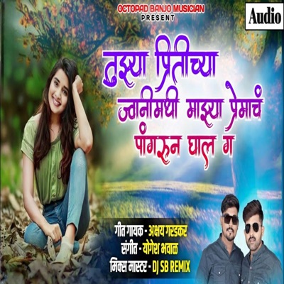 Tuzya Pritichya Jwanimadhi Mazya Preamch Pangharun Ghal G - Single