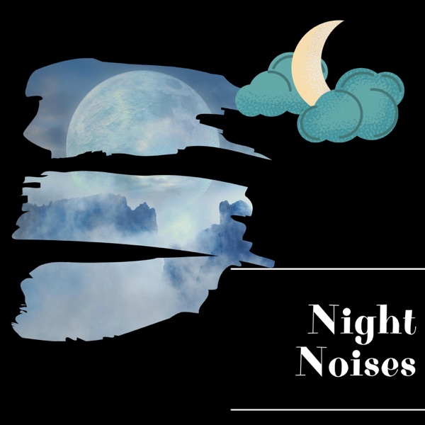 Night Noises for Deep Focus and Study
