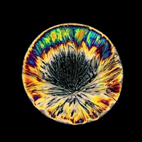 Chemical X - Vice Vic & V!Ctor10u$