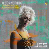 All or Nothing (Ashley Wallbridge Extended Remix) artwork