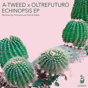 Echinopsis