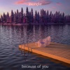 Because of You - Single