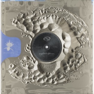 Collision Data (feat. Marina Herlop) - Single