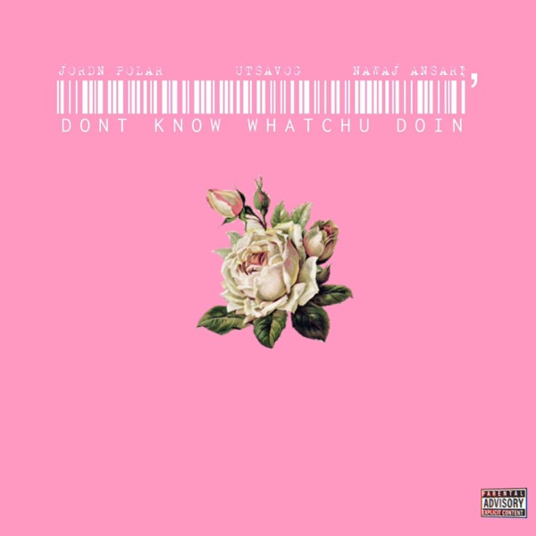Don't know whatchu doin' (feat. Jordn Polar) [Remix]