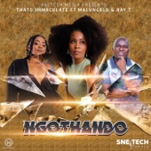 Ngothando (feat. Malungelo & Ray T) artwork