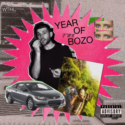 Year of the Bozo