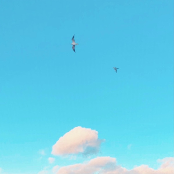 Distant - Single