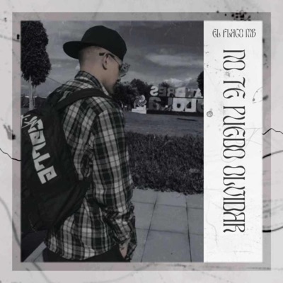 No Te Puedo Olvidar - Single