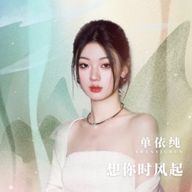 想你时风起 (校园广播版) Yichun Shan