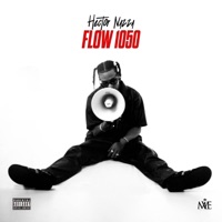 Flow 1050 - Hector Nazza