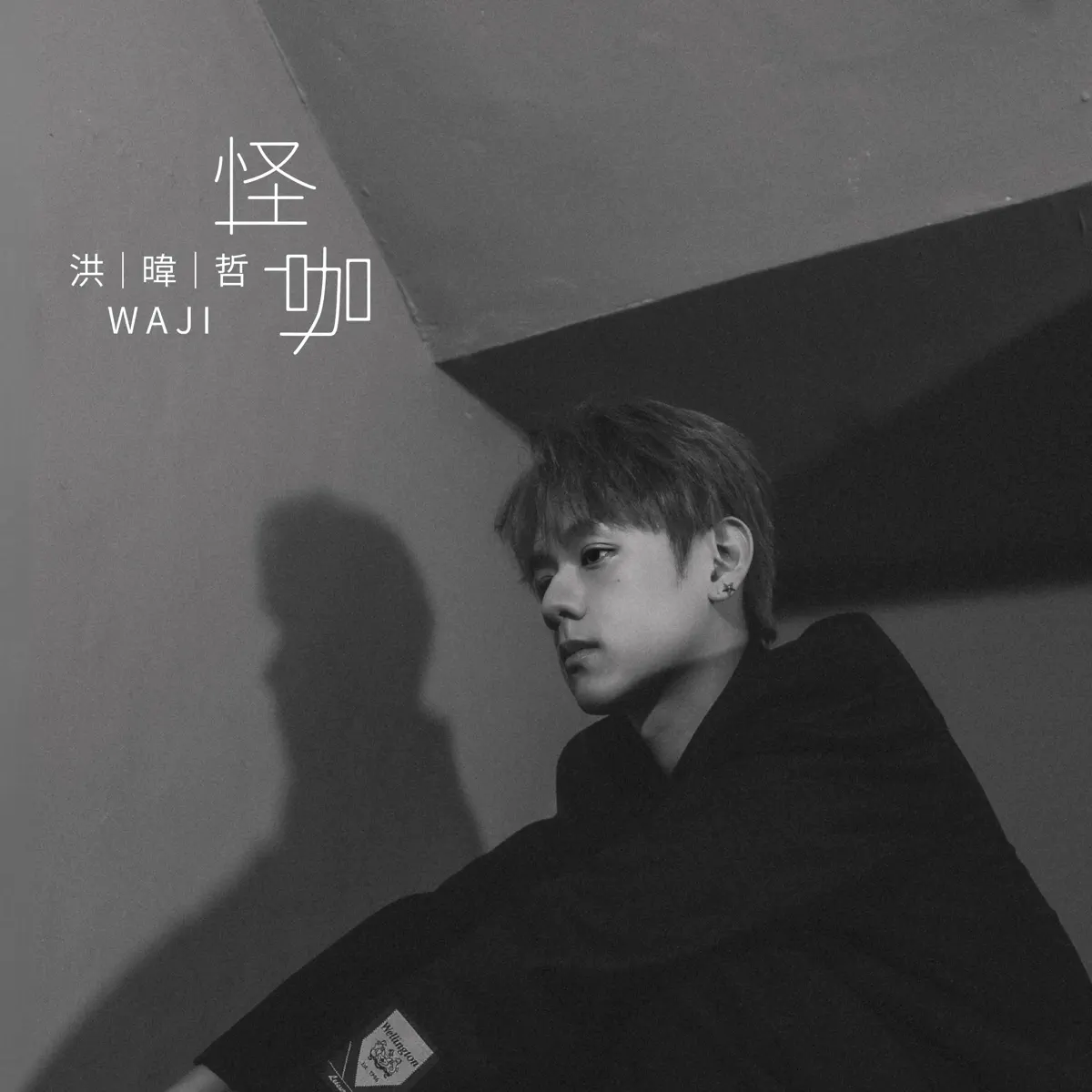 洪暐哲 - 怪咖(戲劇《關於未知的我們》片尾曲) - Single (2024) [iTunes Plus AAC M4A]-新房子