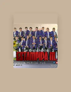 收听 Estampida Musical、观看音乐视频、阅读小传、查看巡演日期等 ！