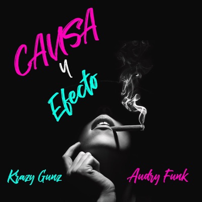 Causa y Efecto (feat. Audry Funk & DJ Madnes) - Single