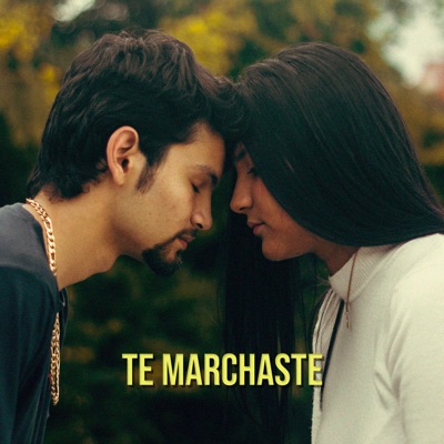 Te Marchaste - Single