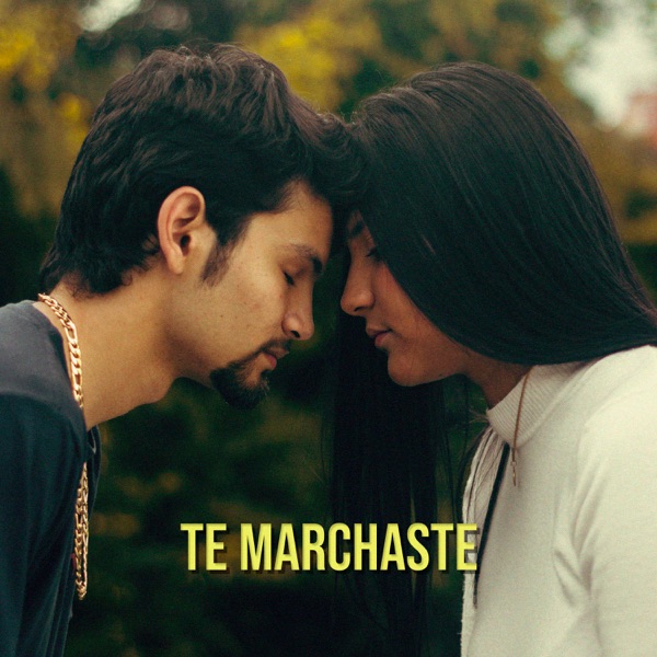 Te Marchaste