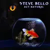 Steve Bello - Walk Through Lightning
