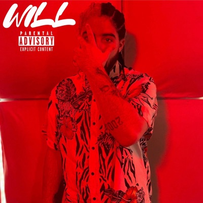 WILL (feat. 2flowJay) - Single